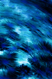 Isabella Minichmair Werkreihe BLAU 13